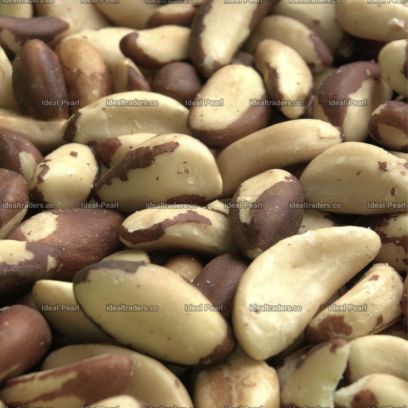 Brazil Nuts (100g)