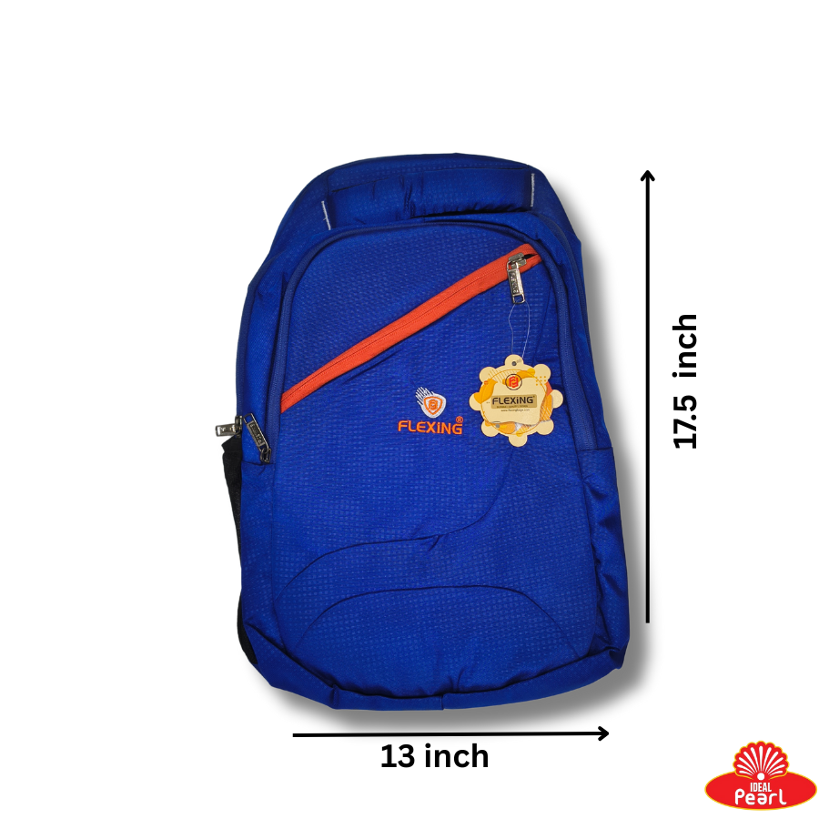 FLEXING SCHOOL BAG (BLUE)