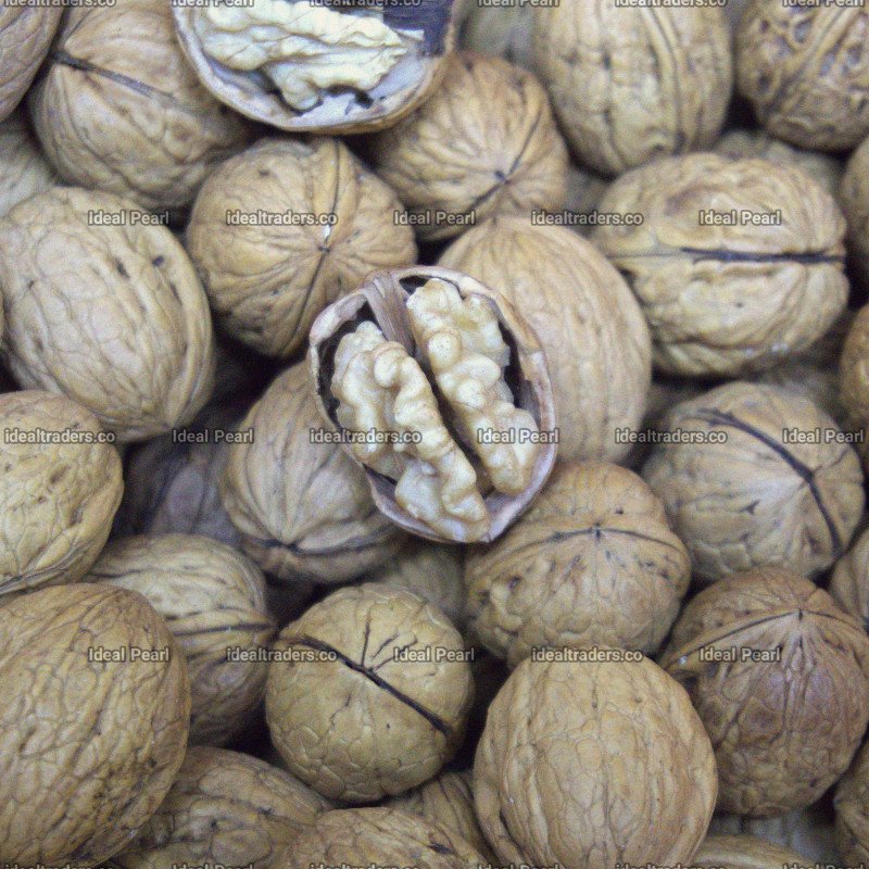Shell Walnut (Akhrot Magaj) (1kg)